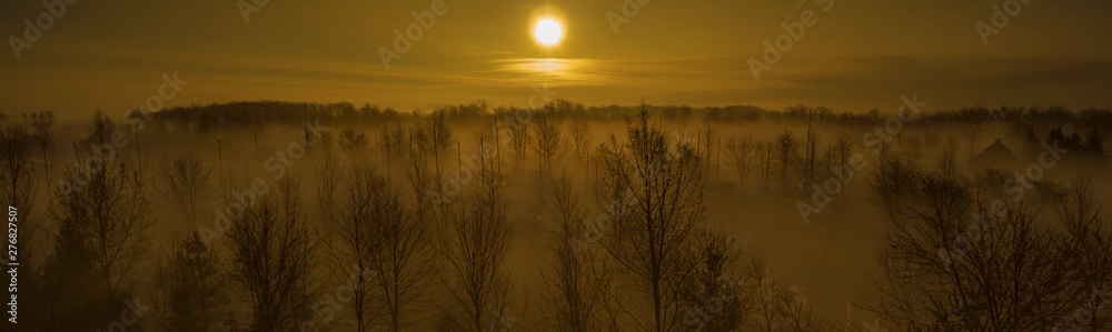 Fototapeta premium Foggy morning