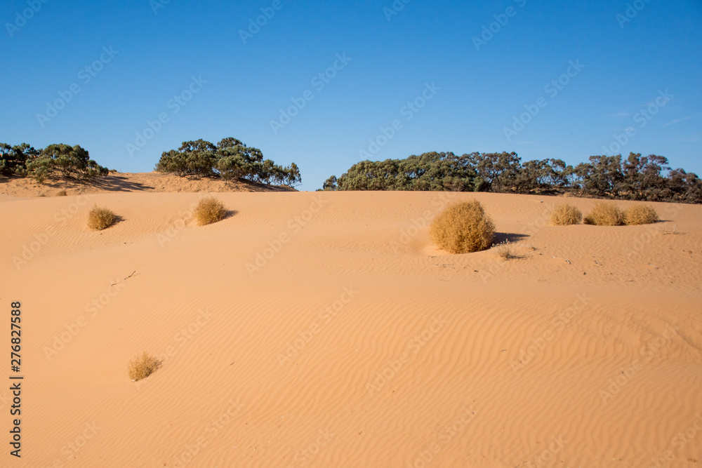 Sand dunes and tumbleweeds, Perry Sandhills, Australia