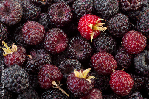 Cumberland fruit closeup background