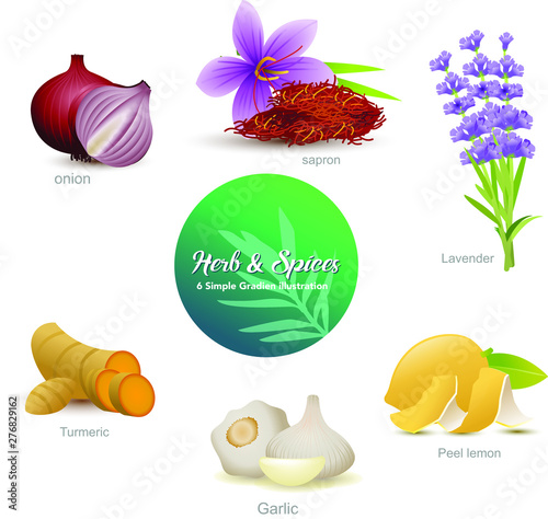 Herb and spice vector icon