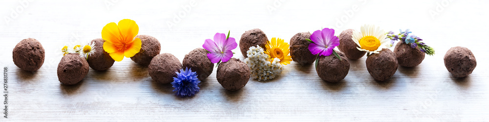 seed balls or seed bombs with various blossoms - obrazy, fototapety, plakaty 