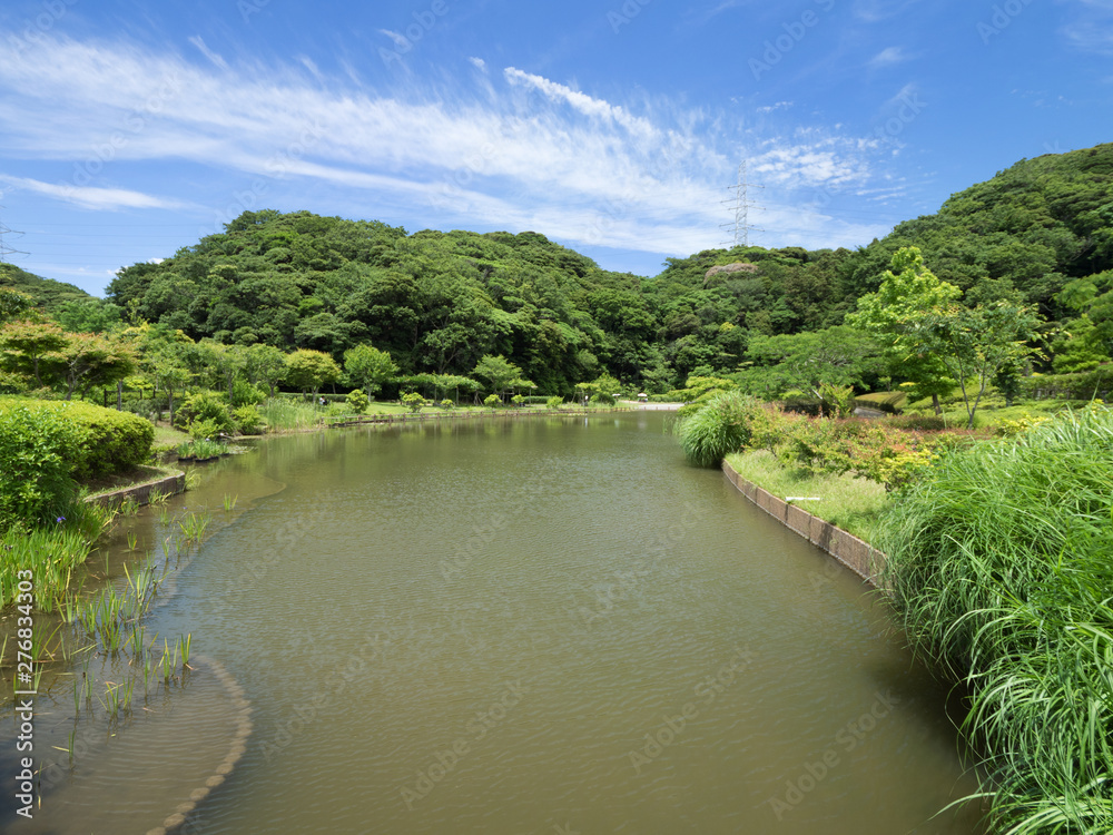 神奈川県 光の丘水辺公園 神奈川県 光の丘水辺公園