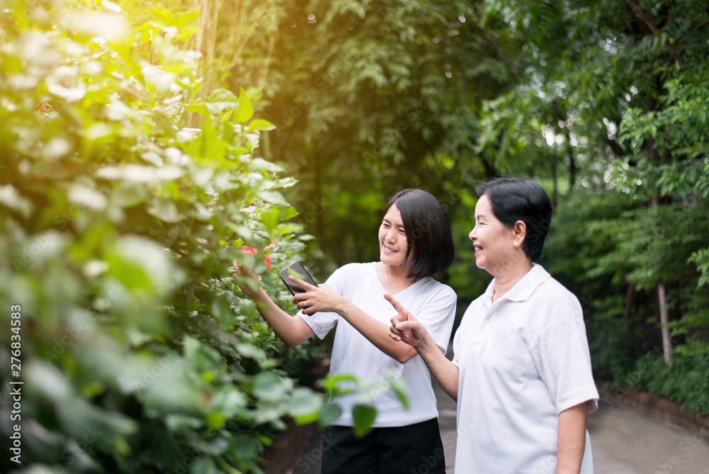 Asian woman looking flower feeling enjoying and freedom relax together in the morining