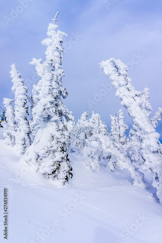 Winter Landscape in the High Alpine with Snow Covered Trees on the Hills surrounding Sun Peaks Village in the Mountains of the Shuswap Highlands of British Columbia, Canada © hpbfotos