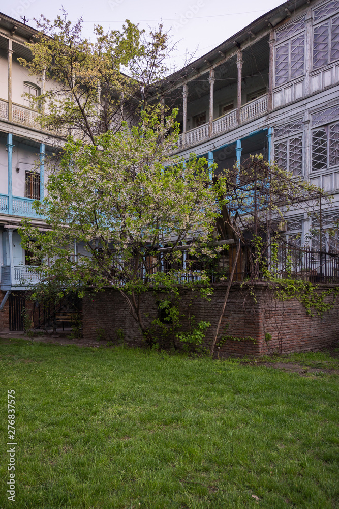 county yard in tbilisi with meadow