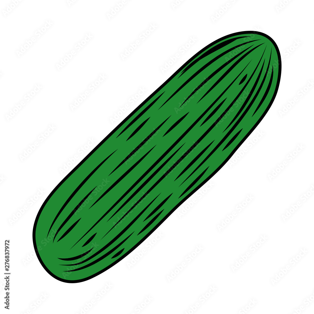 cucumber fresh vegetable healthy icon cucumber fresh vegetable healthy icon
