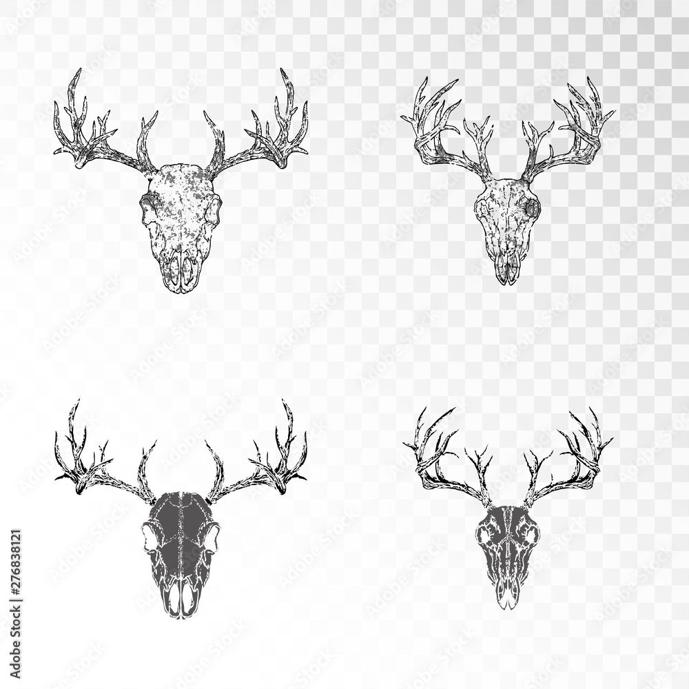 Vector set of hand drawn skulls of deer on transparent background ...