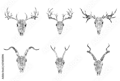 Vector set of silhouettes skulls of horned animals: antelope, deer and goat on white background. Grunge style. Monochrome image. For you desig