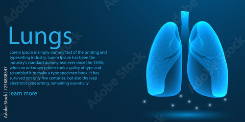Human Lungs medical organ. low poly wireframe theme concept 