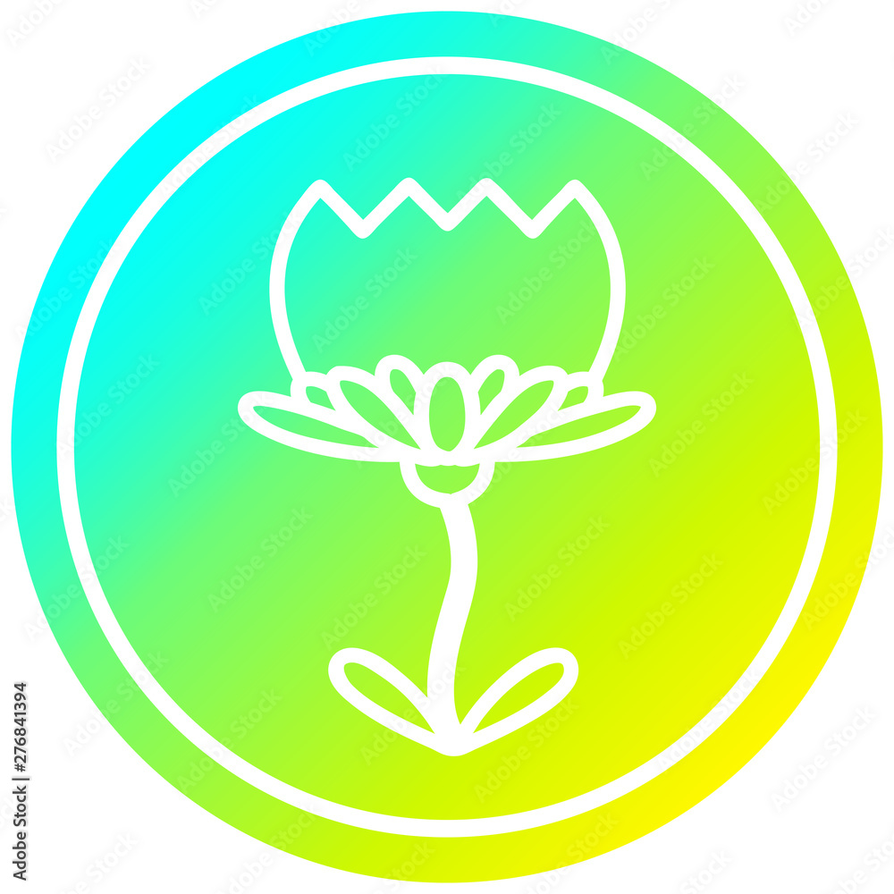 lotus flower circular in cold gradient spectrum lotus flower circular in cold gradient spectrum