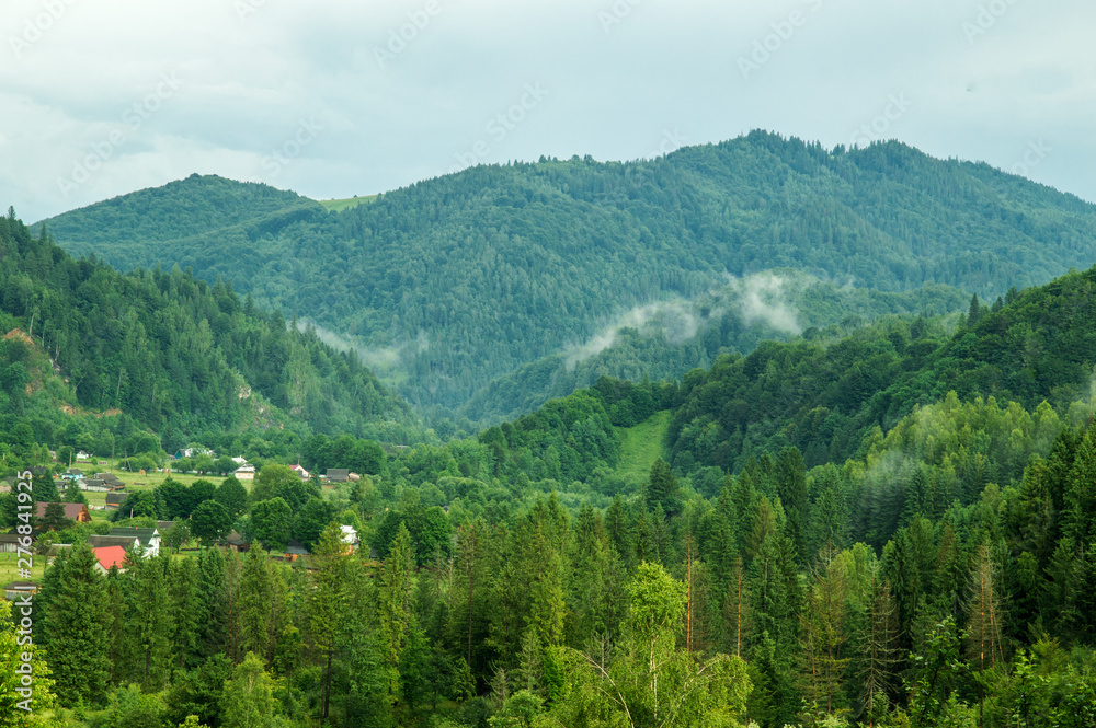 Green pine forest in the Carpathian mountains. The village is lost in the woods, light smoke (fog) spreads between the mountains.