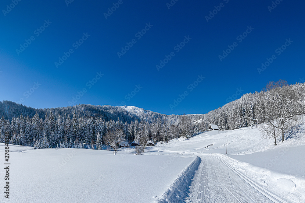 snowy black forest