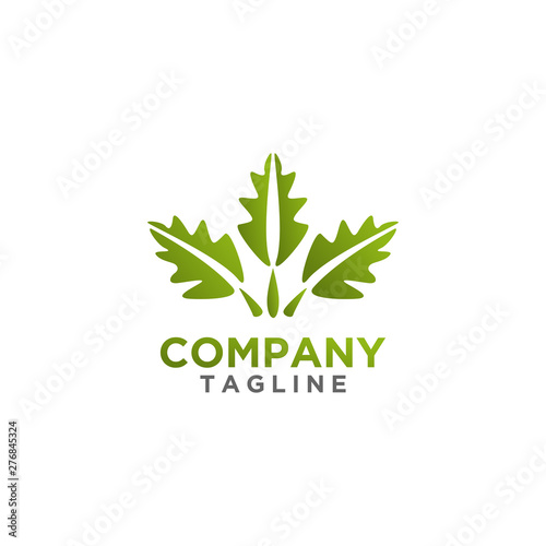 Leaf Logo design green color