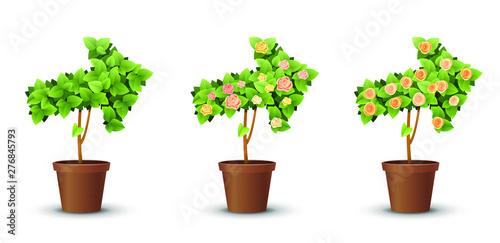 vector set. trees with blooming roses isolated on white background