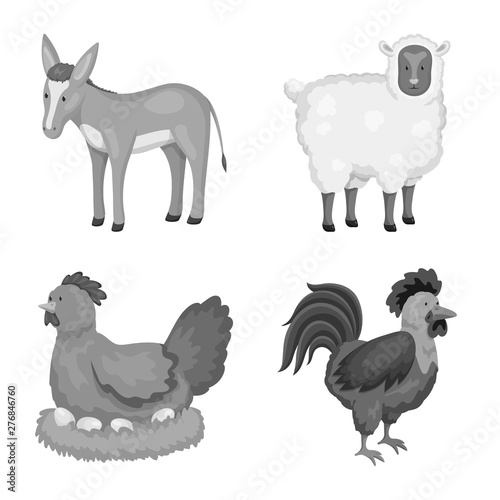 Vector illustration of homestead and agriculture icon. Collection of homestead and kitchen stock vector illustration.