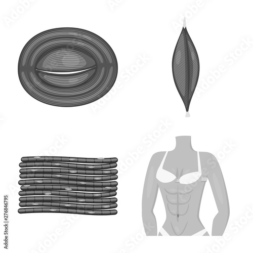 Isolated object of human and body symbol. Collection of human and cells stock vector illustration.