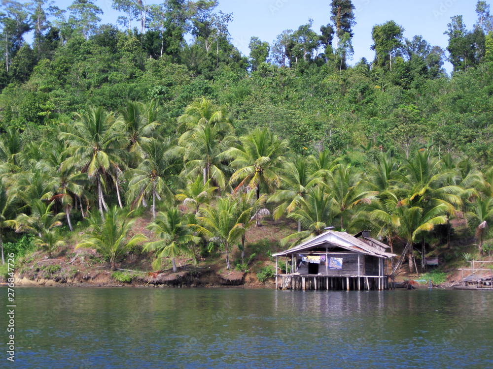 Obraz premium Traditional house on stilts in the water of a river, in front of a forest with palms and trees in Flores, Indonesia.