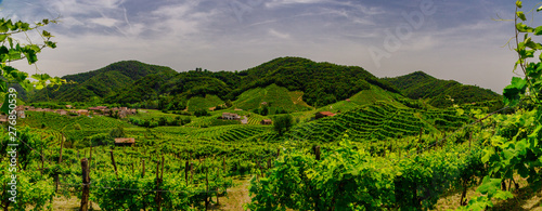 Obraz na płótnie Panorama of the vineyards of Prosecco vineyards w salonie