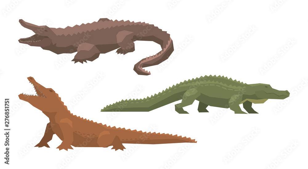 Obraz premium Crocodile vector cartoon crocodilian character of green alligator carnivore illustration animalistic set of dangerous amphibian predator with jaws isolated on white background