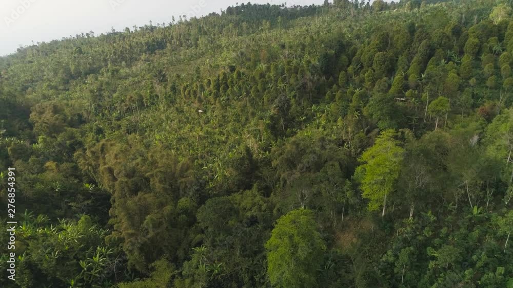 tropical forest on mountain slopes. aerial view rainforest in Indonesia. tropical forest with green, lush vegetation. aerial footage tropical forest on mountain slopes. aerial view rainforest in Indonesia. tropical forest with green, lush vegetation. aerial footage
