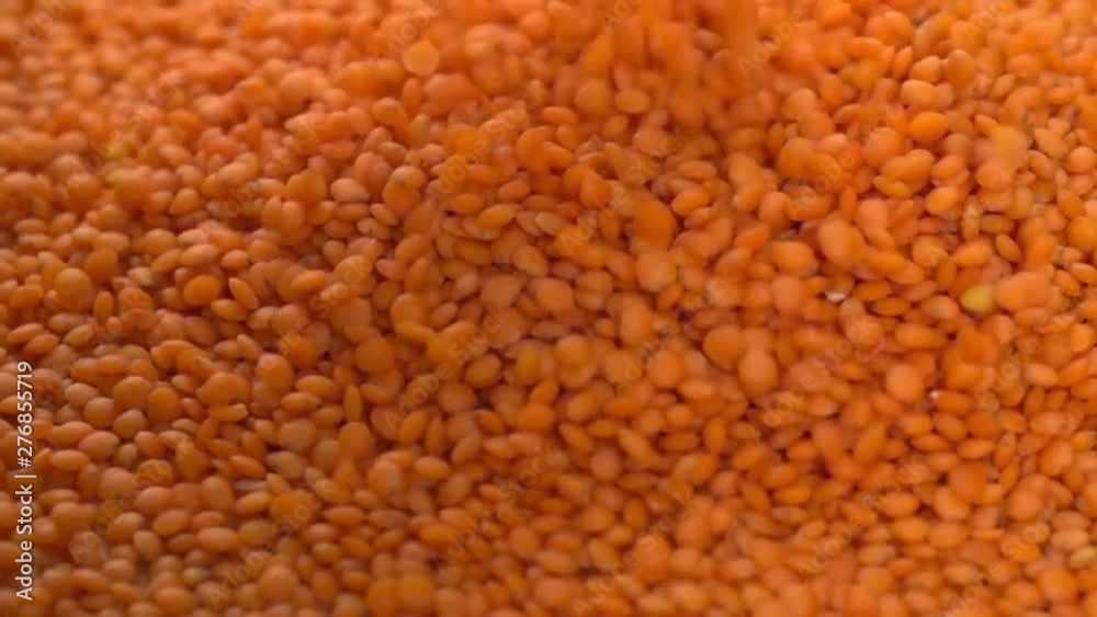 Orange Raw Lentils Falling pouring Slow Motion background video Orange Raw Lentils Falling pouring Slow Motion background video