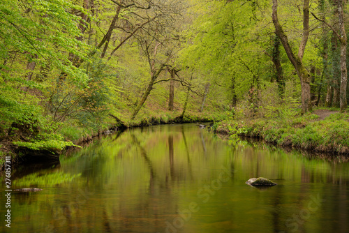 Stunning peaceful Spring landscape image of River Teign flowing through lush green forest in English countryside