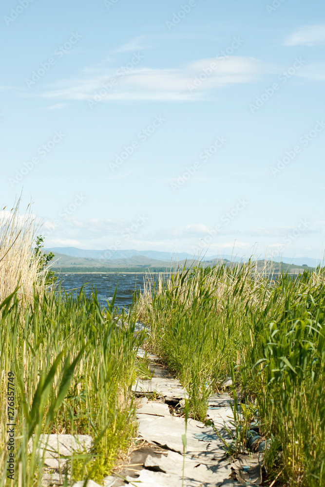 Footpath to the lake through wild grass. Serenity. Summer mood