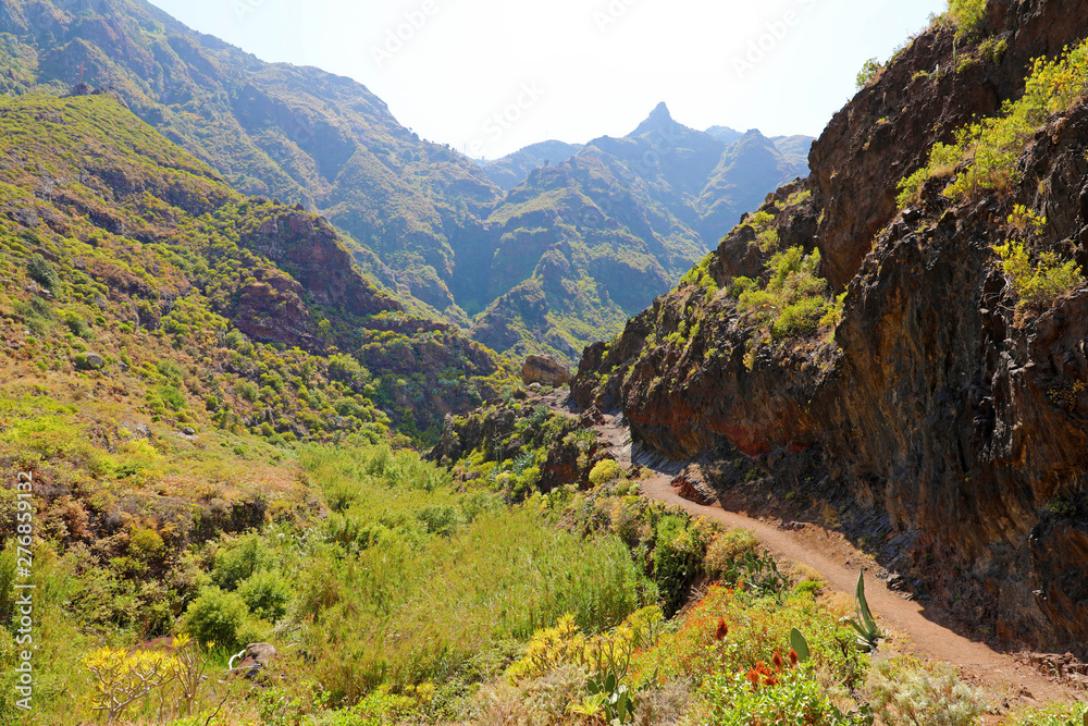 Anaga Rural Park wild landscape in Tenerife Island, Canary Islands, Spain