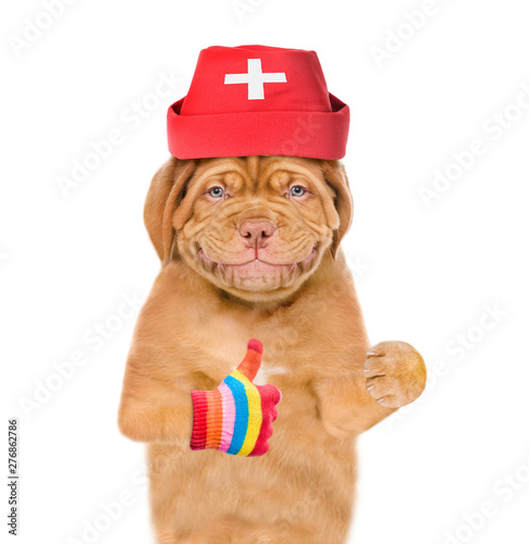 Smiling puppy dressed like a doctor and showing thumbs up. isolated on white background