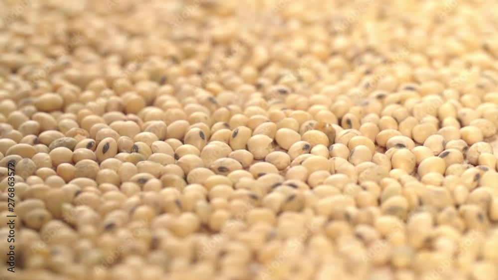 Soybeans rotating background video Soybeans rotating background video