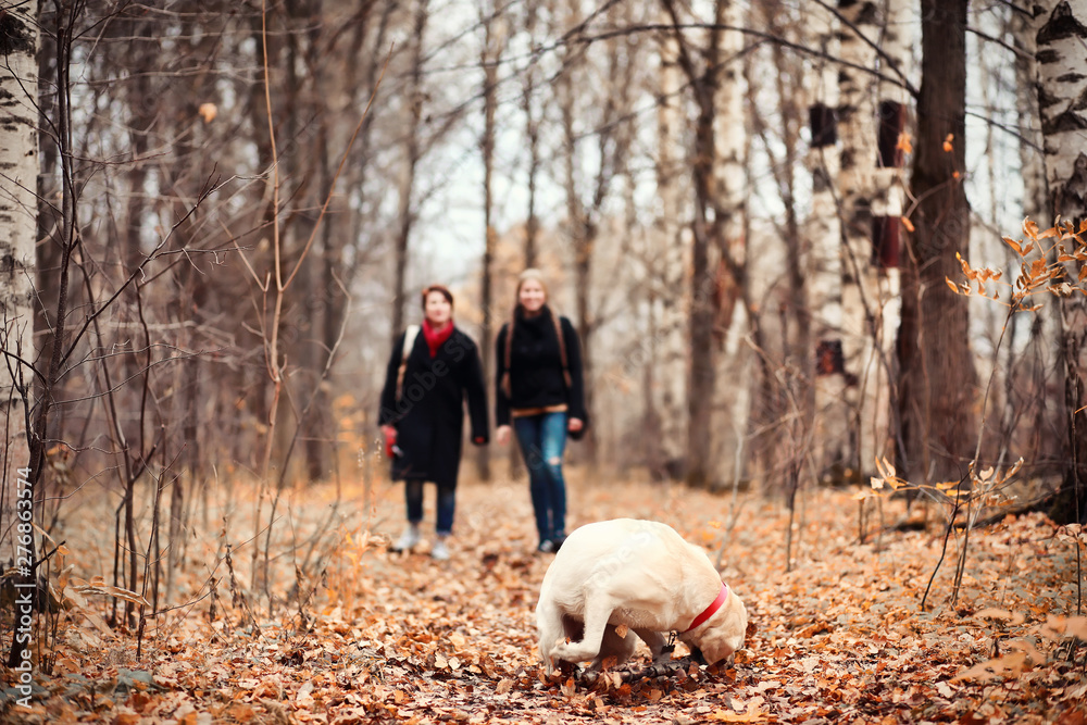 Young girl on a walk in the autumn Young girl on a walk in the autumn