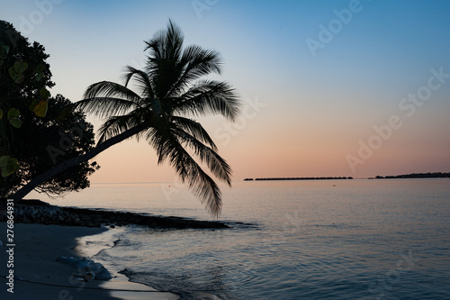 Fototapeta Naklejka Na Ścianę i Meble -  Island sunset - Vilamendhoo, Maldives