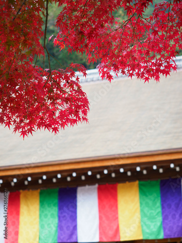 京都　二尊院の紅葉