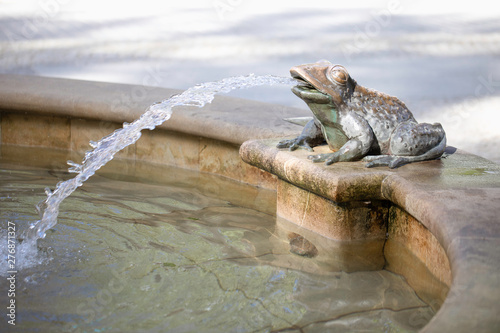 Frog by a fountain in a spa resort  Swieradow - Zdroj (Świeradów Zdrój), Poland. photo