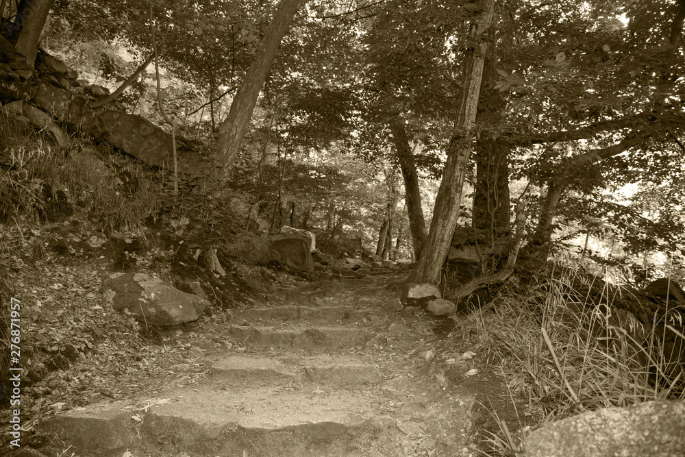 Naklejka premium Weg