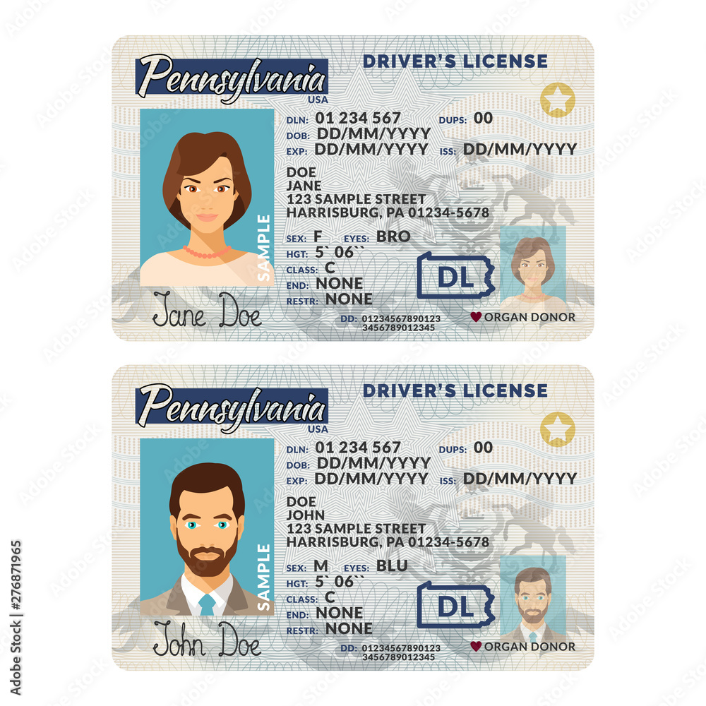 Vector template of sample driver license plastic card for USA