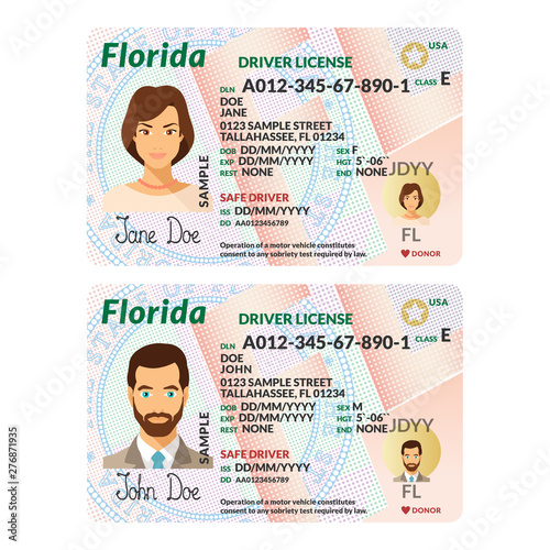 Vector template of sample driver license plastic card for USA Florida photo