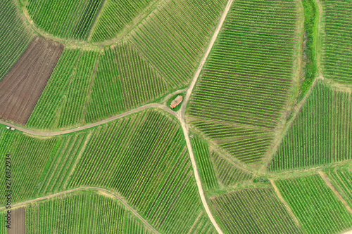 aerial view vineyard scenery at Kaiserstuhl Germany photo