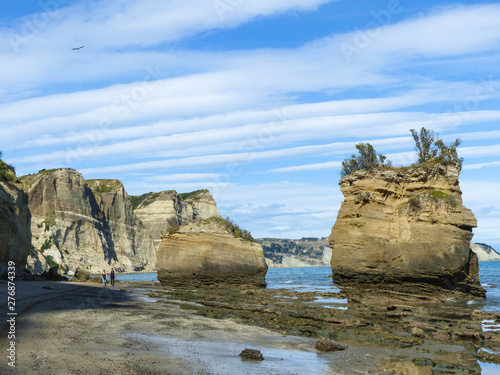 amazing rock napier nz