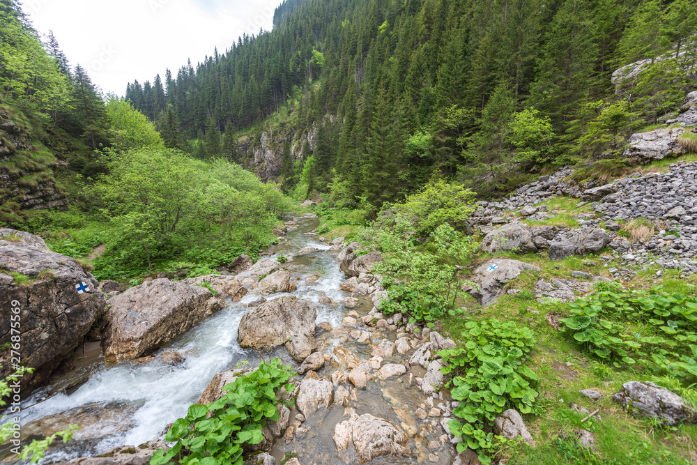 Flowing river in the Carpathian Mountains Flowing river in the Carpathian Mountains