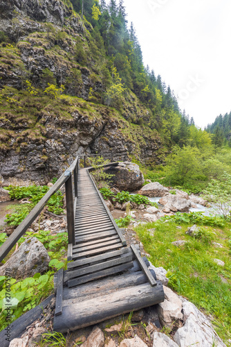 Small wooden bridge in the Carpathian Mountains