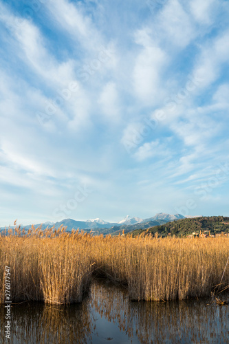 Lago Massaciuccoli e Torre del Lago Puccini photo