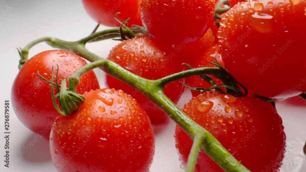 Beautiful juicy cherry tomatoes on a branch Beautiful juicy cherry tomatoes on a branch