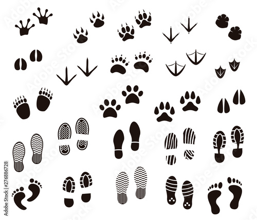 Vector illustration set of different foot and paw tracks of people, wild and domestic animals and birds isolated on white background - monochrome silhouettes of various footprints.