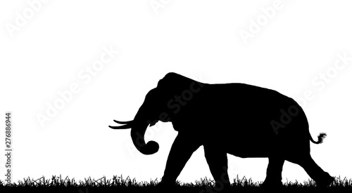 silhouette elephants in the landscape on white background