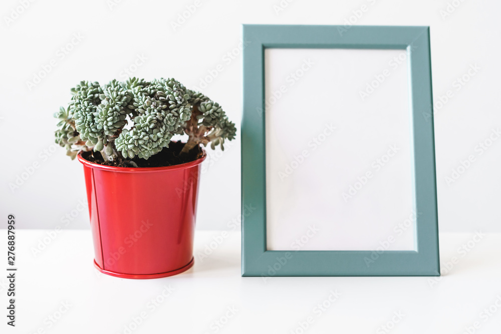 Fototapeta premium Empty blank photo frame with copy space and house plant for your design