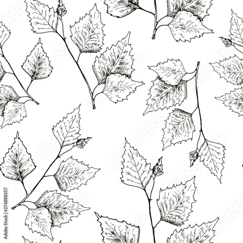 Birch leaves pattern. Hand drawn black birch tree branches, birch leaves. Sketch style vector seamless background.
