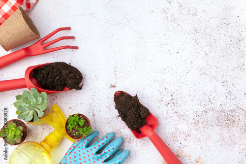 Gardening tools and top view, garden manteinance photo