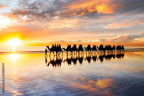 Silhouetted camels walking along Cable Beach at sunset in the north-west town of Broome, Western Australia, Australia. Camel rides at sunset are a popular tourist activity in Broome.
