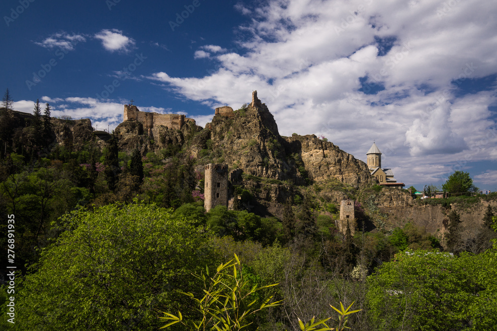 famous nariqala fortress and botanical garden